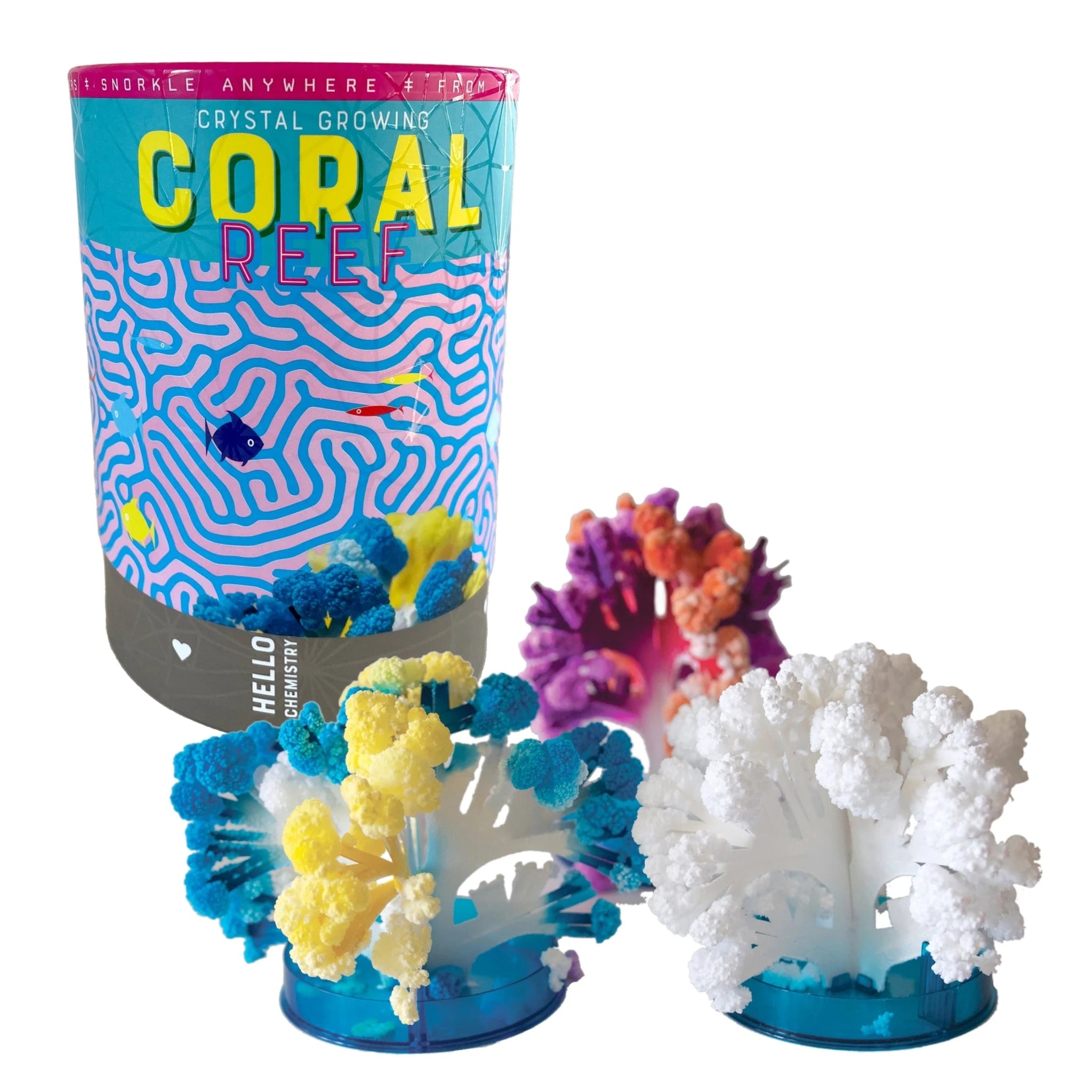 Crystal Growing Coral Reef – Seabird